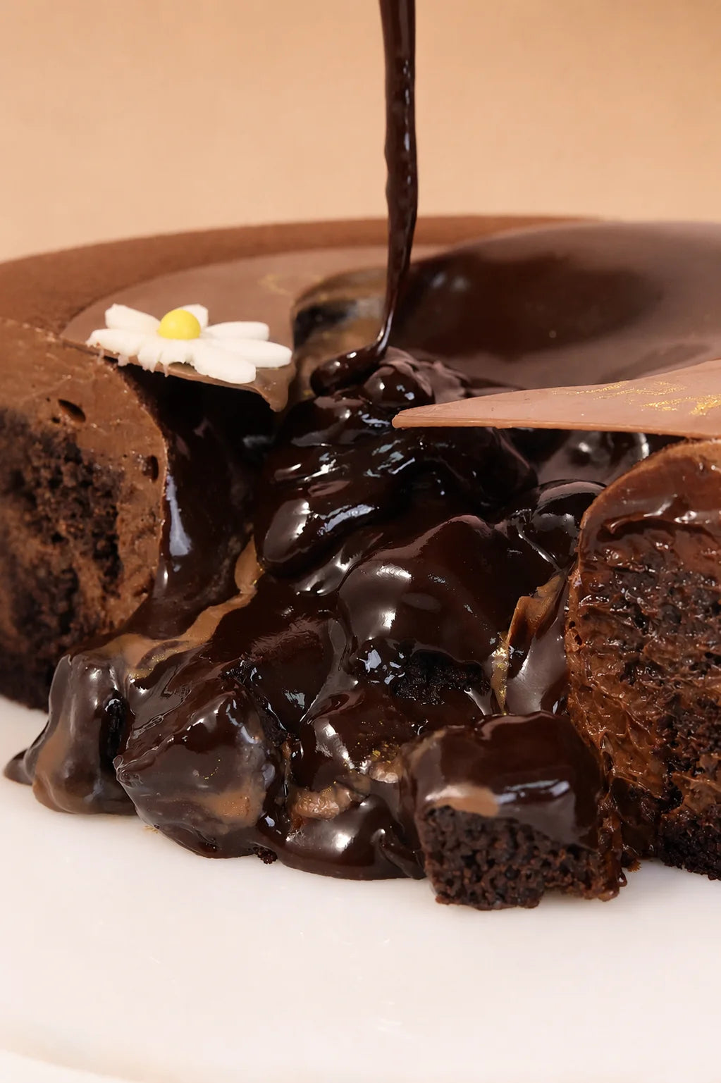 Belgian Brownie Lava Truffle