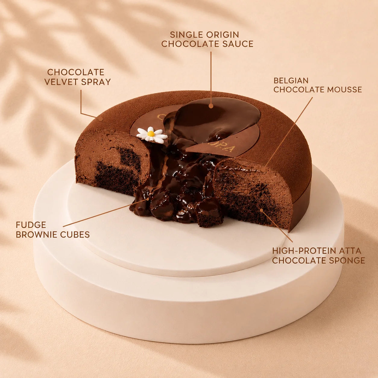 Belgian Brownie Lava Truffle